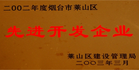 2002年萊山區(qū)先進(jìn)開發(fā)單位