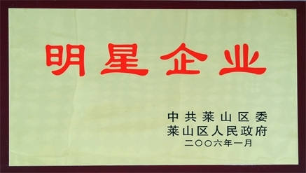 2006年萊山區(qū)明星企業(yè)